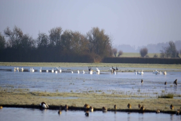 Late winter sunshine